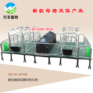 母猪产床双体复合仔猪分娩床养猪设备母猪笼床保育床定位栏