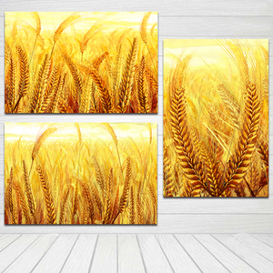 金色麦田客厅装饰挂画有框麦子麦穗餐厅卧室自粘墙贴画海报丰收图