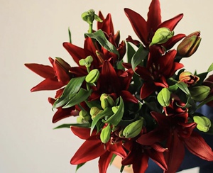 云南黑石-淘宝拼多多热销云南黑石货源拿货 - 阿里巴巴货源