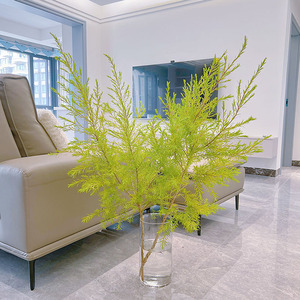 提升家居视觉效果奇好黄绿色千层金鲜花云南斗南直发插花水养顺丰