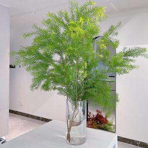 飘逸感氛围感满满春天的色彩绿色千层金鲜花云南斗南直发插花水养