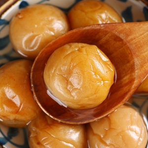 潮汕特产普宁咸水梅咸梅酸咸梅酸梅汤梅汁蒸鱼焖排骨腌青竹梅孕妇