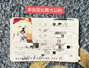 北京狗证,北京丰台区养犬登记证,比熊狗证