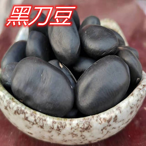 黑刀豆500克 中药材黑皮刀豆子老刀豆种子种籽刀巴豆大刀豆 可用