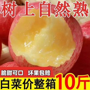 正宗一级洛川红富士苹果陕西特产整箱10斤水果新鲜糖脆甜好产地发