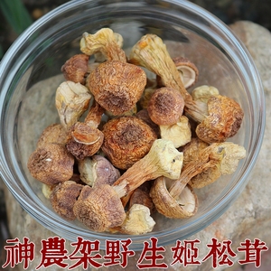新货神农架野生姬松茸干货野生菌蘑菇味道鲜美农家山货特产250克