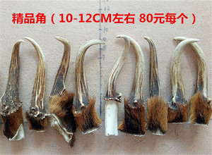 麂子角挂件