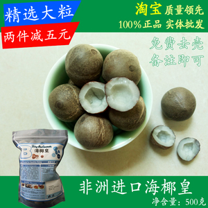 非洲海椰皇海椰子