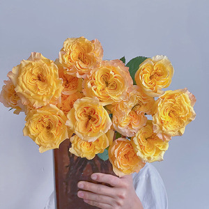 独特花型橙黄色系暴风女神玫瑰鲜花云南昆明直发插花水养顺丰空运
