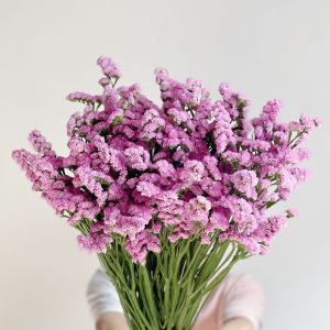 粉色aa级勿忘我鲜花云南直发插花水养可做干花花期长送长辈顺丰