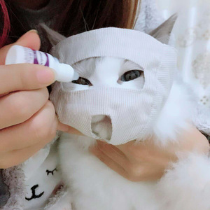 640人付款天猫透明猫眼罩猫咪防咬头套猫嘴套猫咪洗澡剪指甲打针防叫