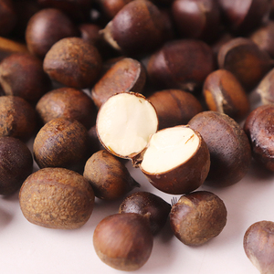 水果板栗野生
