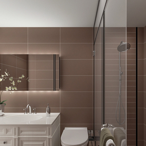 全瓷纯色咖啡色深浅300x600洗手间现代卡其瓷砖墙砖哑光防滑地砖