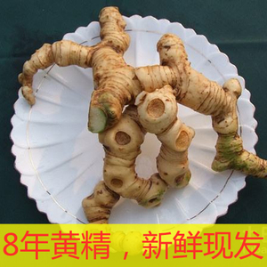 深山新鲜现挖黄精四川真品红花老虎姜可煲汤泡酒九蒸九晒鸡头参