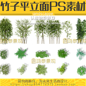 景观竹子平面立面分层植物ps素材剖立面图效果图竹子高清psd素材