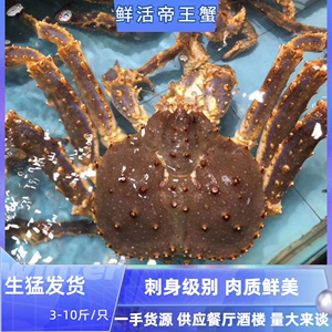 鲜活帝王蟹俄罗斯阿拉斯加长脚蟹帝皇蟹海鲜年货送礼3-10斤大螃蟹