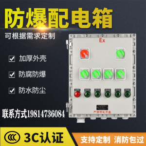 防爆接线箱300*400防爆配电箱防爆仪表箱控制柜防爆监控箱模块箱