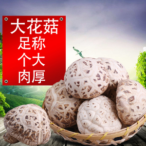 大白花菇干货500g椴木天白花菇干香菇冬菇食用菌干花菇蘑菇