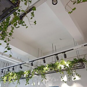 复古铁艺悬挂花架创意层架壁挂装饰架吊顶置物架吊架花架吊篮包邮