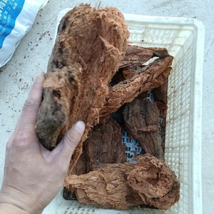 大块红桉树皮胡蜂筑巢材料马蜂养殖材料干的23一斤