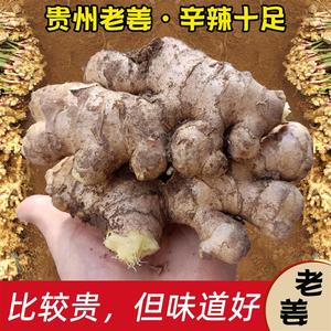 贵州特产农家新鲜自种泥巴老姜生姜炒菜炖汤调味佐料植物月子姜泡