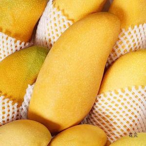 海南金煌芒水仙芒果10斤装整箱热带水果新鲜大芒果甜心芒金黄