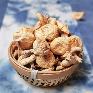 东北野生小黄蘑长白山土特产煲汤菌料黄蘑菇干货小鸡炖蘑菇菌菇类