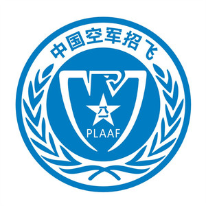 00lkx64822074淘宝儿童飞行员套装中国机长制服西装衬衫空军宝宝