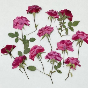 手工diy 创意押花资材丝绒玫瑰花滴胶干花贴画花瓣妆植物标本压花