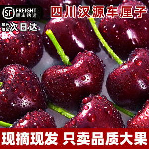 顺丰包邮四川汉源九襄车厘子套袋黑珍珠3j五斤装特级大果新鲜现货