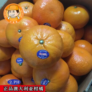 现货 澳大利亚柑橘 正品2ph澳橘4个装 新鲜水果 澳柑蜜橘 桔子