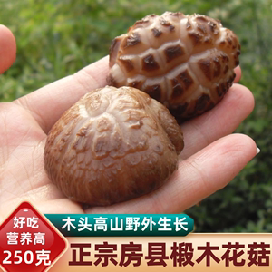 正宗房县椴木小花菇250g高山蘑菇冬香菌食用菌土特产农家香菇干货