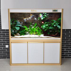 鱼居乐 底部过滤鱼缸大型1.8米超白玻璃免换水龙鱼缸 送造景