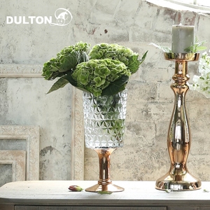 日本DULTON玻璃花瓶 多样式插花欧式家居现代创意花艺水养摆件文创