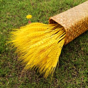 天然植物狗尾巴草麦穗小麦干花染色剂芦苇染花专用染料好上色颜料