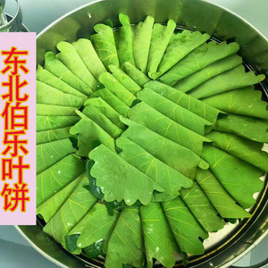 伯乐叶饼 新鲜玻璃饼东北食用桲椤菜包子9个小吃槲面即食酸菜素馅