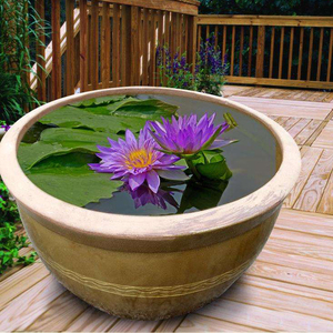 睡莲专用缸盆老式水缸庭院养鱼陶瓷造景室外种土陶缸家用荷花缸