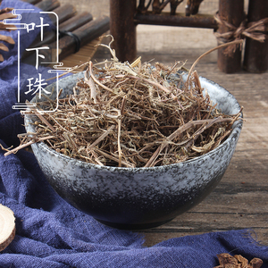 福建野生叶下珠500克 珍珠草 中药材供应 珠仔草 龙珠草 2件包邮