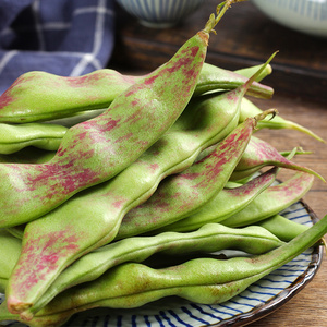 东北油豆角种子一点红架豆种籽孑春季油豆蔬菜高产大宽四季芸豆