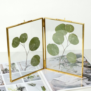 北欧ins复古玻璃相框艺术品相架植物标本夹羽毛照片双面展示架