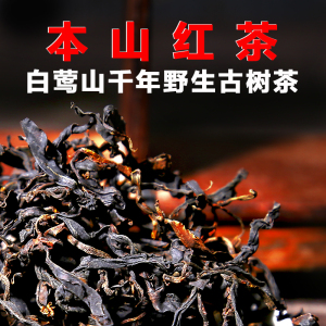 云南凤庆滇红茶特级白莺山千年野生古树本山晒红散茶叶罐装花蜜香