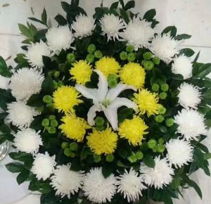 清明节黄菊白菊花束上坟扫墓鲜花葬礼悼念告别花