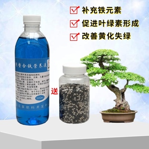 榆树榔榆专用螯合铁营养液室内客厅阳盆景栽绿植叶片子黄补铁花肥