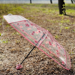 春日伞装彩色折叠透明雨伞三折透明伞创意雨伞包邮樱花伞女士用伞
