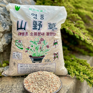 韩国进口多肉专用专业混合配比培养土山野草大袋10l装