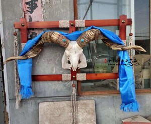 头骨羊头装饰羊头摆件真羊头牛头骨标本牛头骨饰品羊头壁挂挂件4人