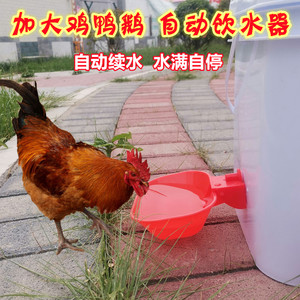 超大鸡鸭鹅饮水碗自动饮水器畜牧养殖设备用品鸽子鹌鹑自动饮水器