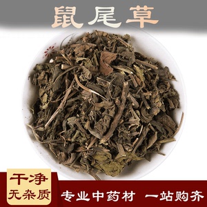 鼠尾草 中药材500克 洋苏草 普通鼠尾草 庭院鼠尾草 熏衣草中草药