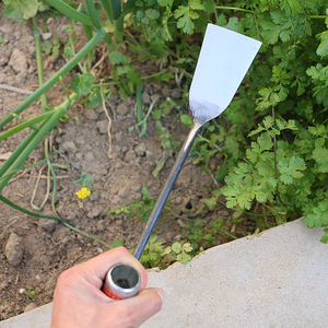 小铲子挖野菜种花园艺工具户外种菜种花草药挖根农用松土大蒜铲子