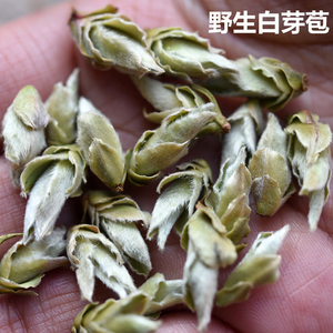 2024年新茶云南野生白芽苞茶千年老妖古树芽孢普洱茶散茶生茶500g